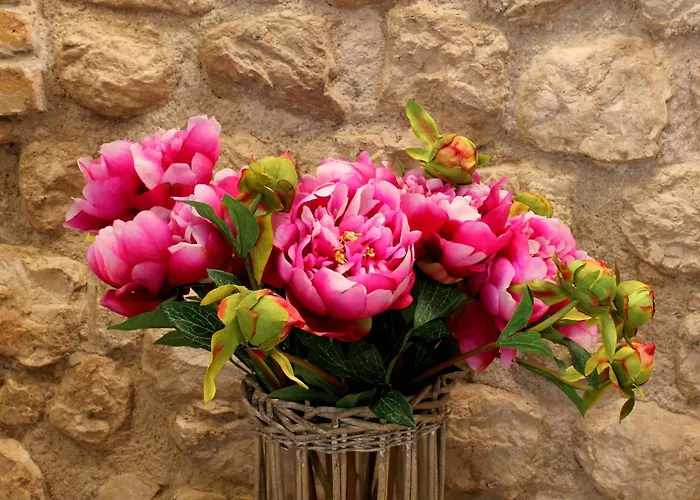 Residenza Ca Bianca - Refosco